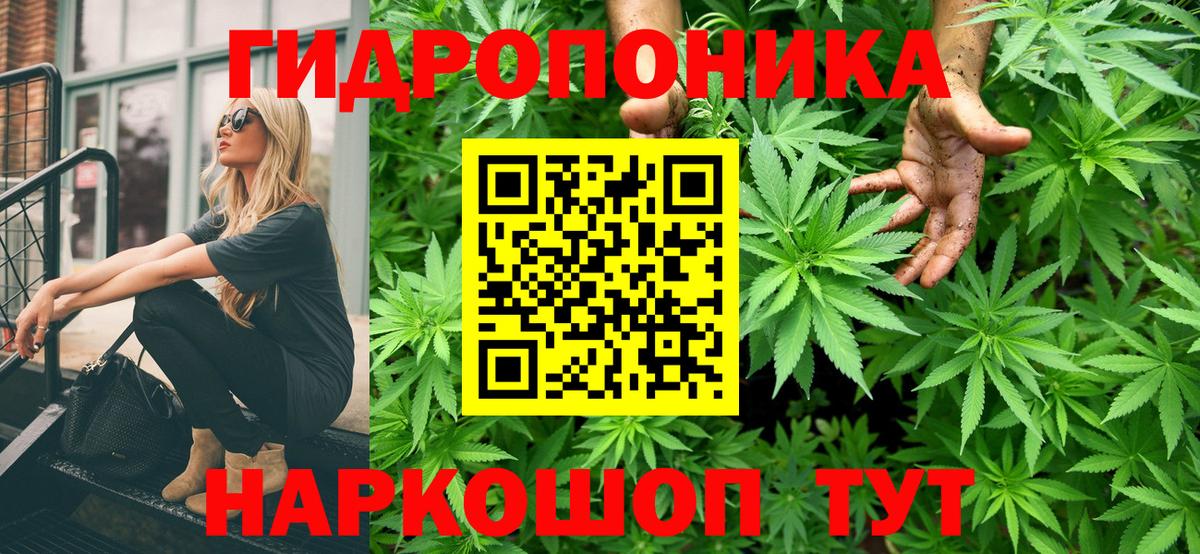 Шишки марихуана OG Kush Миасс
